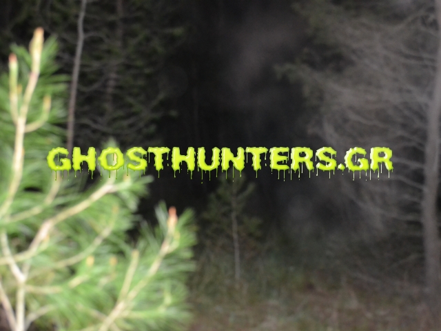 DSC_0921